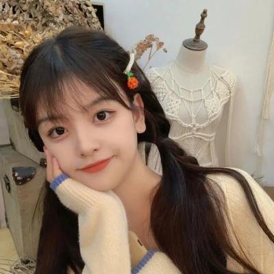 积木之箱
