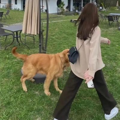 爱心小天使